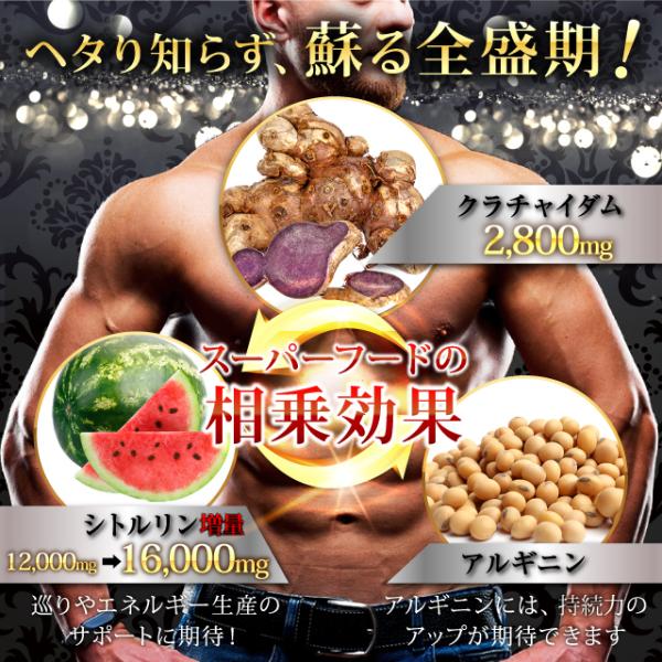 最後まで萎えない男性の芯力をサポート 免疫力を ギガランキングｊｐ