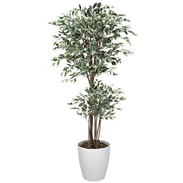 光触媒 消臭 観葉植物 人工観葉植物 インテリア インテリア トロピカルベンジャミン斑入り 高さ180cm 光触媒観葉植物 フェイクグリーン 消臭 観葉植物 抗菌 防汚 0119a 収納家具通販 アーネ