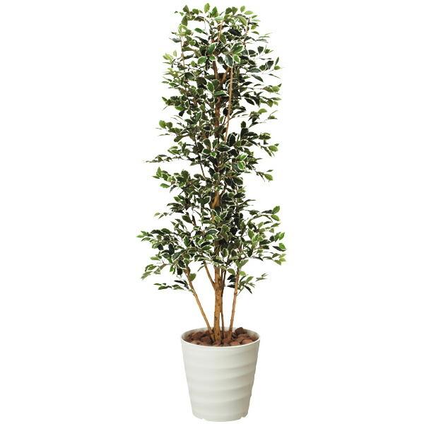光触媒 観葉植物 人工観葉植物 インテリア 抗菌 ガジュマルタワーg 高さ170cm 消臭 W 高さ170cm フェイクグリーン 消臭 抗菌 防汚 0119a 収納家具通販 アーネ