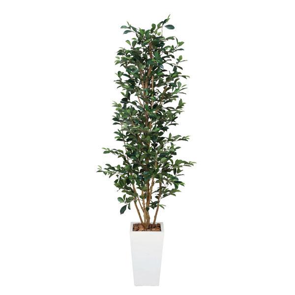 人工観葉植物 ガジュマルタワーｇ 高さ180cm 観葉植物 光触媒 防汚 消臭 フェイクグリーン 抗菌 アーネインテリア 防汚 観葉植物 ガジュマルタワーｇ インテリア 0119a00060 家具通販 造花 光触媒観葉植物 史上一番安い