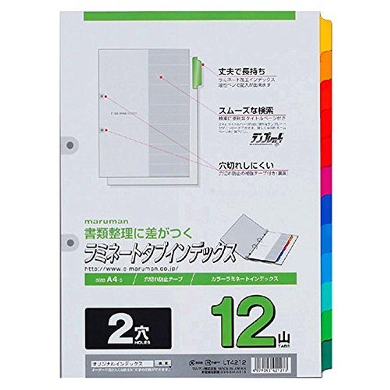 マルマン ラミネートタブ インデックス A4 見出し バインダー 2穴12山 20211106193401 00608 A4 LT4212 10