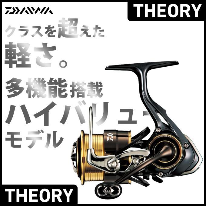 daiwa theory 4000