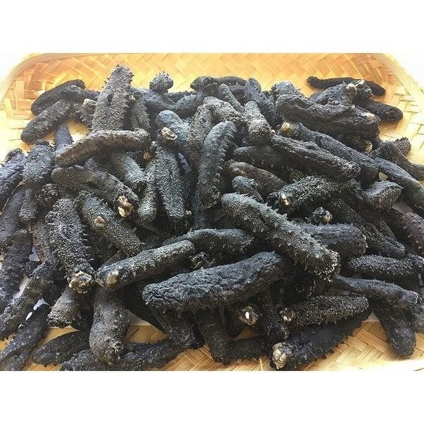 最新のスタイル短納期 乾燥なまこ 干物 薫製 干しなまこ 魚介類 海産物 ａ ｂ品 サイズｍｉｘ １ｋｇ サイズｍｉｘ 愛知県産 18 岬だより 熱販売即出荷