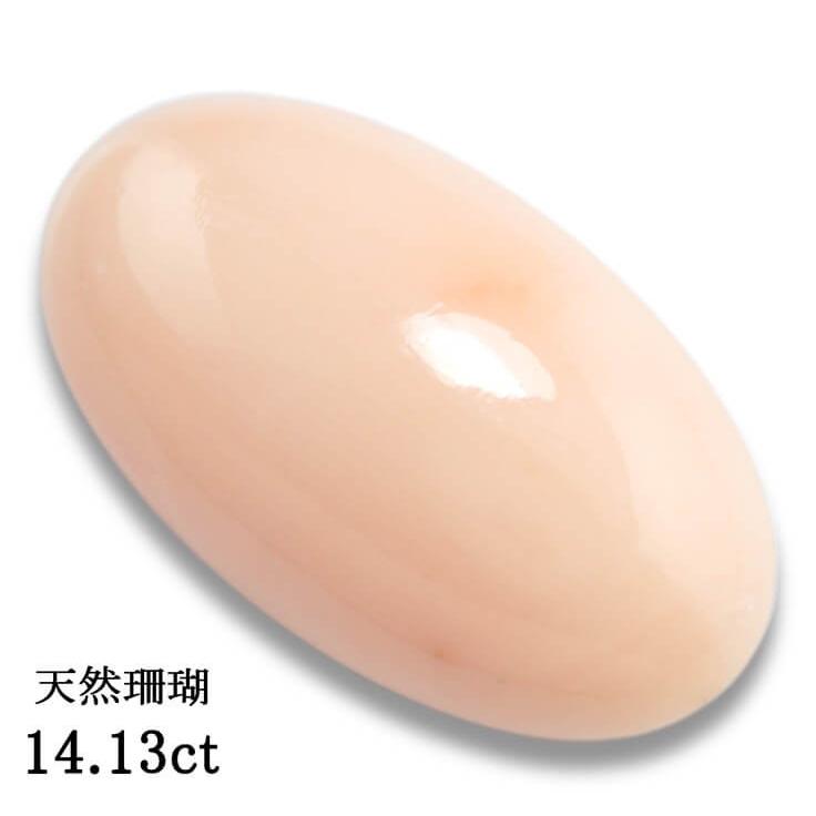 業務用20セット) 食品 大井川茶園 大井川 ds 1734324 シャティモール 200g 5袋 日本茶 まとめお得セット ds 1734324 (業務用20セット) 給茶機用煎茶 特注製品! 業務用20セット) 食品 大井川茶園 大井川 ds 1734324 シャティモール 200g 5袋 日本茶 まとめお得セット ds 1734324 (業務用20セット) 給茶機用煎茶 特注製品!
