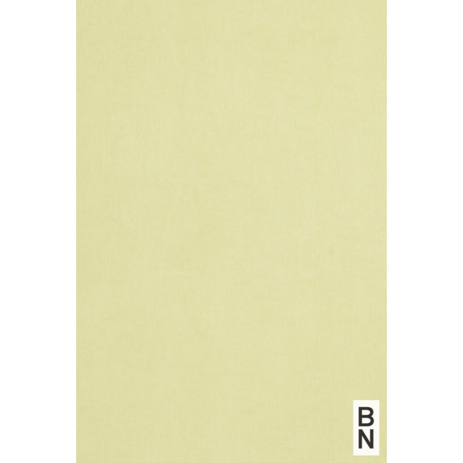 輸入壁紙 住宅設備 Bn 内装 壁紙 48466 Plains Stripes 織物 イエロー Bn 48466 Joyris ジョイリス