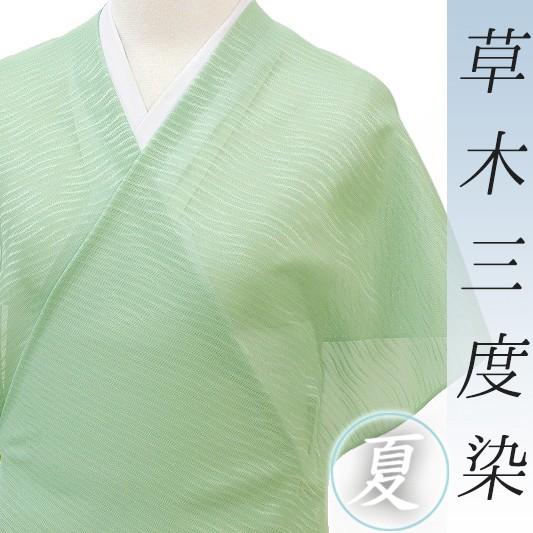 夏物 紋紗 単衣 薄緑色 白緑色 波 柿渋染 白緑色 草木三度引き染 西陣紋紗機 薄緑色 柿渋染 大文字屋伊兵衛 染の杜工房 未仕立て 反物 お洒落着 涼しい 爽やか R1645 R1645 着物ちどり 低価格の新品登場 の 本物品質の の