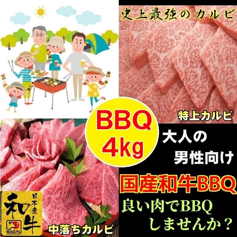 新しいコレクション返品ok 牛肉 肉 焼き肉 肉 お歳暮 焼肉 グルメ 和牛 焼き肉 焼肉セット q バーべキュー 肉 国産 和牛 4kg ギフト グルメ お取り寄せ Dbbq 04 和牛焼き肉の京都1129屋 消費税無しセール