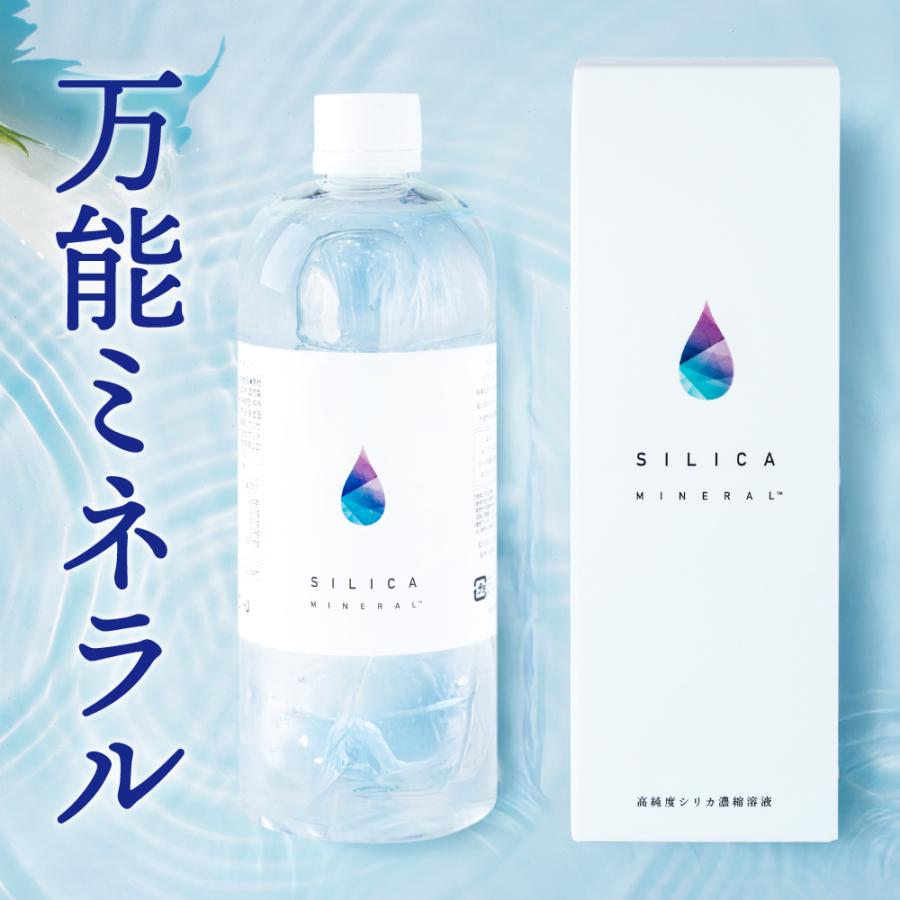 ケイ素エキス シリカミネラル 500ml 90日分 500ml 90日分 健康飲料 水溶性ケイ素 サプリメント 3092 マキノヤフー店