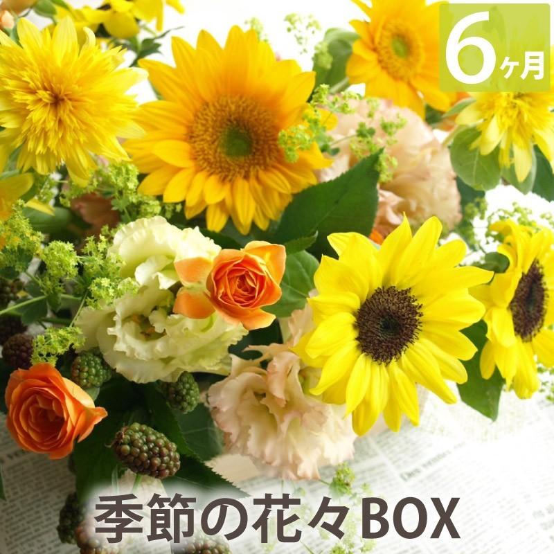 生花花々box Cコース6ヶ月 Boxc 06 横浜花まりかフラワーギフト専門店