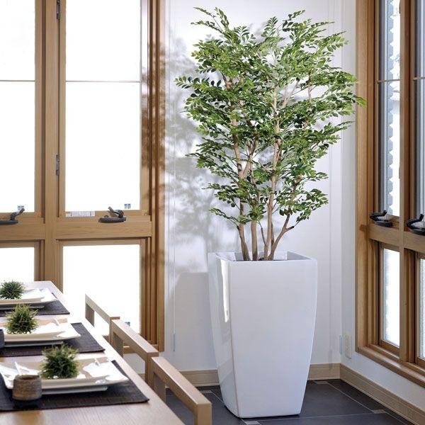 アートゴールデンツリー 光触媒人工観葉植物 114f950 21kai インテリアグリーン 光触媒人工観葉植物 ガーデニング 1 8m 光の楽園 花 光触媒観葉植物インテリアグリーン 光触媒人工観葉植物 アートゴールデンツリー 1 8m 114f950 21kai 光の楽園ショップ
