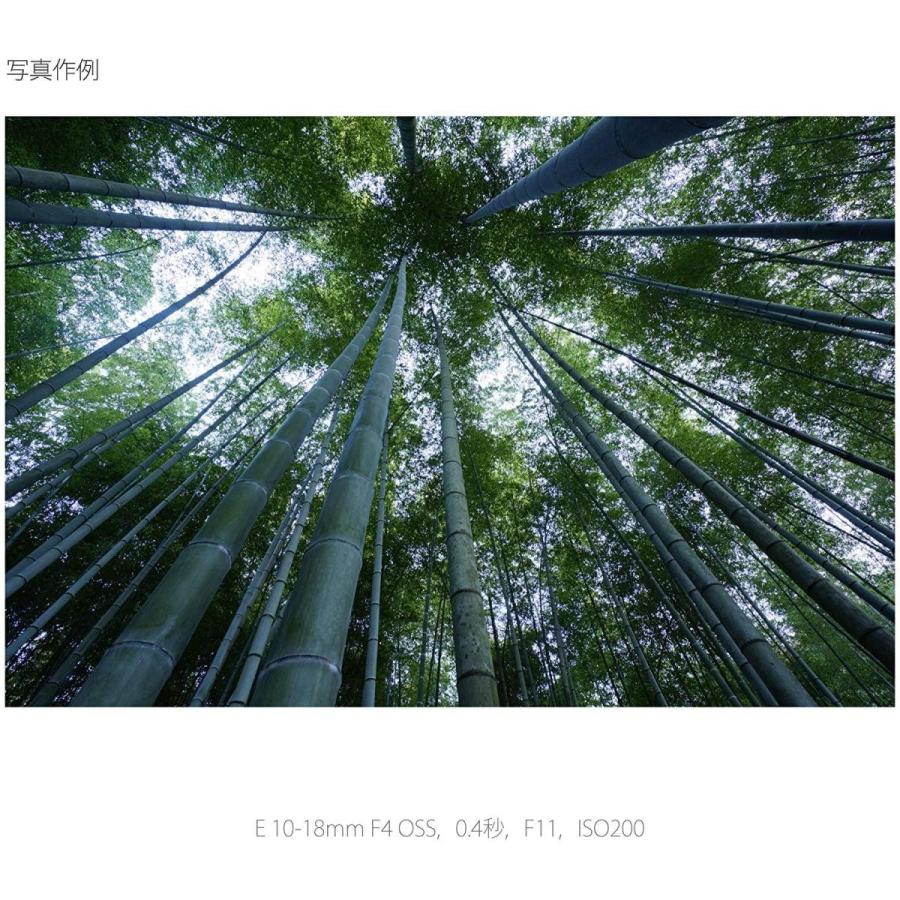 ソニー Sony 広角ズームレンズ E 交換レンズ 10 18mm F4 Eマウント用 Oss カメラ ソニー Eマウント用 Aps C専用 Sel1018 ムラshop
