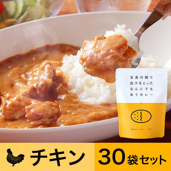 五島の鯛で出汁をとったなんにでもあうカレー チキン 30袋セット 送料無料 長崎五島ごと 食品 店