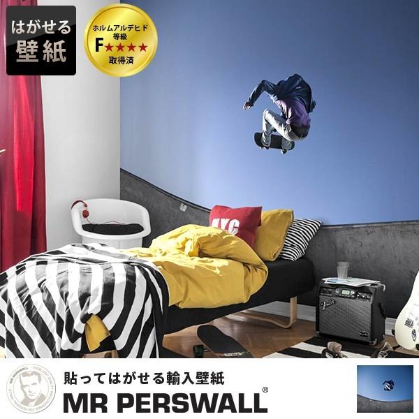 輸入壁紙 賃貸でも安心して貼れます スウェーデン製 Mr Perswall 貼ってはがせる壁紙 Diy 壁紙 Mr 予約中 賃貸 スケートボード 貼ってはがせる壁紙 Adventure P 7 壁紙のトキワ リウォール