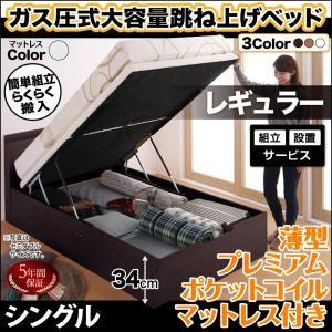 組立設置付 跳ね上げベッド Free Gate Free Gate フリーゲート シングル 薄型プレミアムポケットコイルマットレス付き 縦開き シングル 深さレギュラー ベッド Supa Vinny新品値引きする 高質本物
