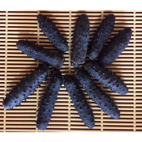 乾燥なまこ 1kg100個前後入 Mサイズ A級品 食品 なまこ 乾燥なまこ ナマコ 淡干海参 海参 関西産 乾燥ナマコ 干しナマコ 干しなまこ 淡干海参 Tsnmk1kg100 東成商事当季大流行 人気top1 大特価 大特価セール
