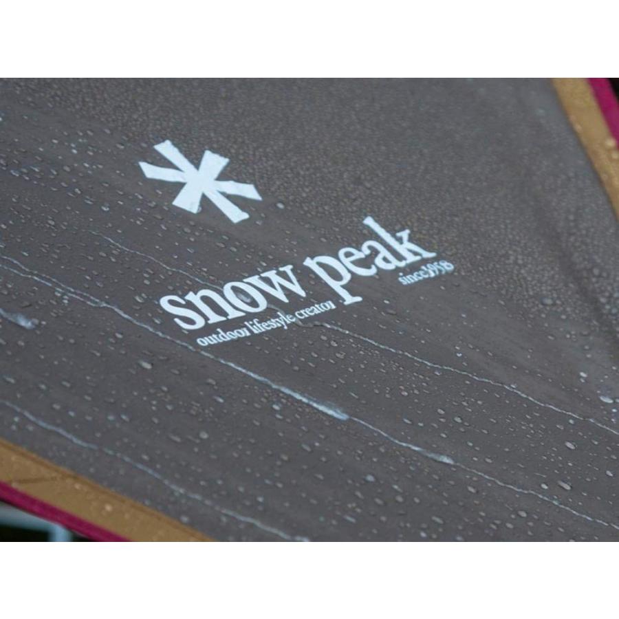 スノーピーク Snow Peak テント エントリーパックtt Set 250h 4人用 4人用 新品番 Peak ペグ ウィリーウィリー雑貨店