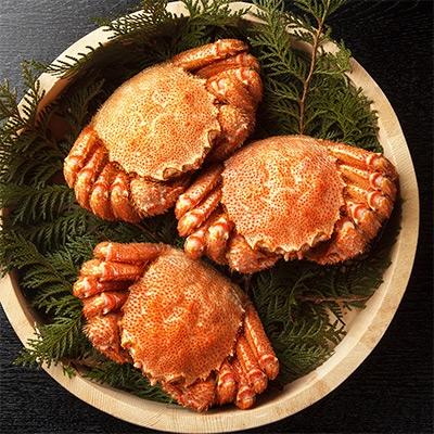 弟子屈町 毛ガニ ふるさと納税 のし付 食品 北海道 毛蟹 ボイル済みセット 3kg前後 6 8尾 カニ 8 19 さとふる