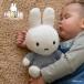 �ymiffy �~�b�t�B�[�z�ʂ������/25cm/�t���b�t�B�[/�u���[