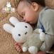 �ymiffy �~�b�t�B�[�z�ʂ������/25cm/�t���b�t�B�[/�O���[��