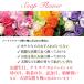 �L�e�B ���j�� ������ �d�� ��l �����j�� �a���� �� �T�����I �t�����[�M�t�g �v���[���g �M�t�g �͂�Ȃ��� �t�����[�A�����W�����g �\�[�v�t�����[ �L�e�B�[ �֘A�摜4