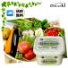 [ овощи комплект . йогурт 1 kilo ] Kyushu производство центр свежий овощи. 10 товар и больше овощи набор овощи йогурт kazei.
