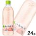 �S�����������^�R�J�E�R�[�������^ �R�J�E�R�[�� ���E��E�́E�� ���� PET 540ml�~24�{ �R�J�R�[�� ����͂�