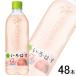 �S�����������^�R�J�E�R�[�������^ �R�J�E�R�[�� ���E��E�́E�� ���� PET 540ml�~24�{�~2�P�[�X�F���v48�{ �R�J�R�[�� ����͂�