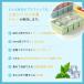 ���X�M �V���R�� �ӂ��t�� �V���R���Ⓚ�g���[ �W�t�� 2/4���� 1L 250ml 500ml �A�C�X�g���[ �H�i�ۑ��e�� ��^�A�C�X�L���[�u �Ⓚ�ɗe�� �֘A�摜2