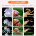 �ŐV�^������ �q���p �f�W�^�������� �n���f�B �莝�������� LED���C�g�t�� �}�C�N���X�R�[�v �q�� �d�q������ ���ǂ��X�R�[�v �L�b�Y 2.0�C���` 500X�g�� �֘A�摜4