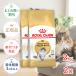 �y������2�Z�b�g�z���C�����J�i�� �m���E�F�[�W���� �t�H���X�g �L���b�g 2kg / ���L�p(����12�������12�΂܂�) / �W�b�p�[�L�� ����