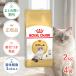 �y������4�Z�b�g�z���C�����J�i�� ���O�h�[�� 2kg / ���O�h�[�� ���L�p(����12�������12�΂܂�) / �h���C�t�[�h �W�b�p�[�L�� ����