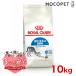 CJi ChA 10kg / Ő鐬Lpi127΂܂Łj / hCt[h Wbp[L