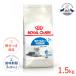 ���C�����J�i�� �C���h�A 7+ 1.5kg / �����Ő������钆����L�p(7�΂���12�΂܂�) / �h���C�t�[�h �W�b�p�[�L�� ����