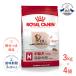 �y������4�Z�b�g�z���C�����J�i�� �~�f�B�A�� �G�C�W���O 10�{ 3kg / ���^��(�������̏d11�`25kg)����p(10�Έȏ�) / SHN �� �W�b�p�[�L�� ����