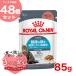 [ выгодный 48 шт. комплект ] Royal kana n лилия na Lee уход серый Be 85g / здоровье . моча . техническое обслуживание хотеть сделать для взрослой кошки ( после рождения 12 месяцев . и больше ) / FCN-WET кошка мокрый капот pauchi