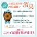 ���Ȃ� ���L �p���c ���f�B�[�X �V���[�c �ߕq�� �j�I�C �L���Ȃ� �����L �֏L�K�X�L �A�L�������@ ���f�I���K�[�h�p���cWOMEN �֘A�摜5