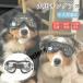  собака для защитные очки средний большой собака собака защитные очки собака для солнцезащитные очки прозрачный глаз . защита высокий свет проникновение показатель ультрафиолетовые лучи меры машина .. меры домашнее животное защитные очки товары для домашних животных машина сопутствующие товары . прогулка gtsu