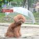  домашнее животное umbrella Lead имеется . прогулка для зонт для маленьких собак для домашних животных .. Chan удобный товары сезон дождей дождь меры непромокаемая одежда Kappa плащ замена 