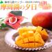  высшее холод .. манго Hokkaido ... производство .. озеро. . день 4L размер 1 шт 