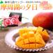  высшее холод .. манго Hokkaido ... производство .. озеро. . день 3L размер 2 шт 