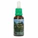  зеленый прополис жидкость 30ml ( сухой экстракт раз 21%)