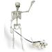  Halloween украшение каркас кукла 160cm передвижной тип легкий собака комплект Event реквизит 