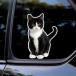  чёрный кошка стикер 9x14cm водонепроницаемый винил переводная картинка машина окно * бампер * Note * гитара для домашнее животное love . человек предназначенный подарок 