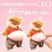 3D. собака стикер 3 шт. комплект po коричневый li.. orange костюм водонепроницаемый долговечность LAP tops ma ho рефрижератор фляжка 