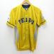 s# Saitama Seibu Lions /saitama seibu Lions fan uniform [ S ] yellow /MENS/28[ used ]