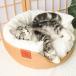  домашнее животное bed . пол кошка Chan bed кошка коготь .. лето ... корзина корзина через год сборник вверх домашнее животное bed ротанг система домик для кошек 