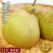  Yamagata производство la* Франция [ превосходящий товар ] большой шар размер 10~14 шар всего 5 kilo передний и задний (до и после) ( специальный картон коробка ) груша обыкновенная подарок подарок .. фрукты фрукты 