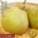 <.. для несессер ввод > Yamagata производство la* Франция [ превосходящий товар ] большой шар размер 8 штук входит всего 2.5~3.0 kilo передний и задний (до и после) груша обыкновенная подарок вся страна отправка фрукты фрукты 