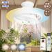 alexa�Ή��V�[�����O�t�@�����C�g �����|��LED�V�[�����O���C�g 12�� �����R���t �T�[�L�����[�^�[�t���Ɩ��������F�t�@���t�������[��񂮂炢�Ƃӂ���H���s�v