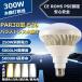ۥХ饹ȥ쥹 LED ӡŵ PAR38 E26 ݥåȥ饤 ɿ巿 LED 25w ip65 ϥŵ ѥ饤   졼饤